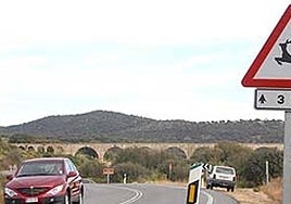 Accidentes con animales