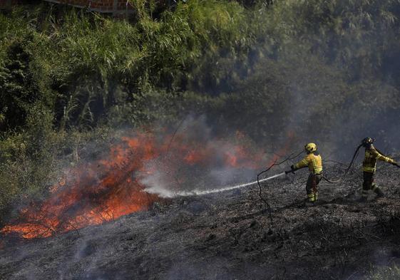 Los incendios forestales, una de las áreas de intervención en las que la IA tiene grandes posibilidades.