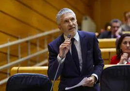 El ministro del Interior, Fernando Grande Marlaska, en el Senado, ayer