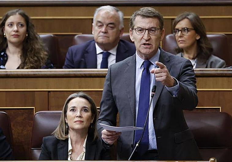 Alberto Núñez Feijóo pregunta a Pedro Sánchez durante la sesión de control al Gobierno de este miércoles.