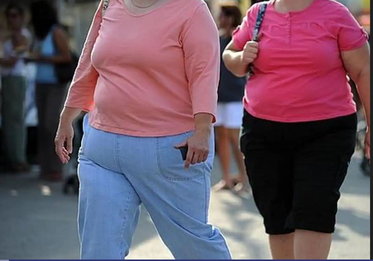 Dos mujeres obesas caminan por la calle.