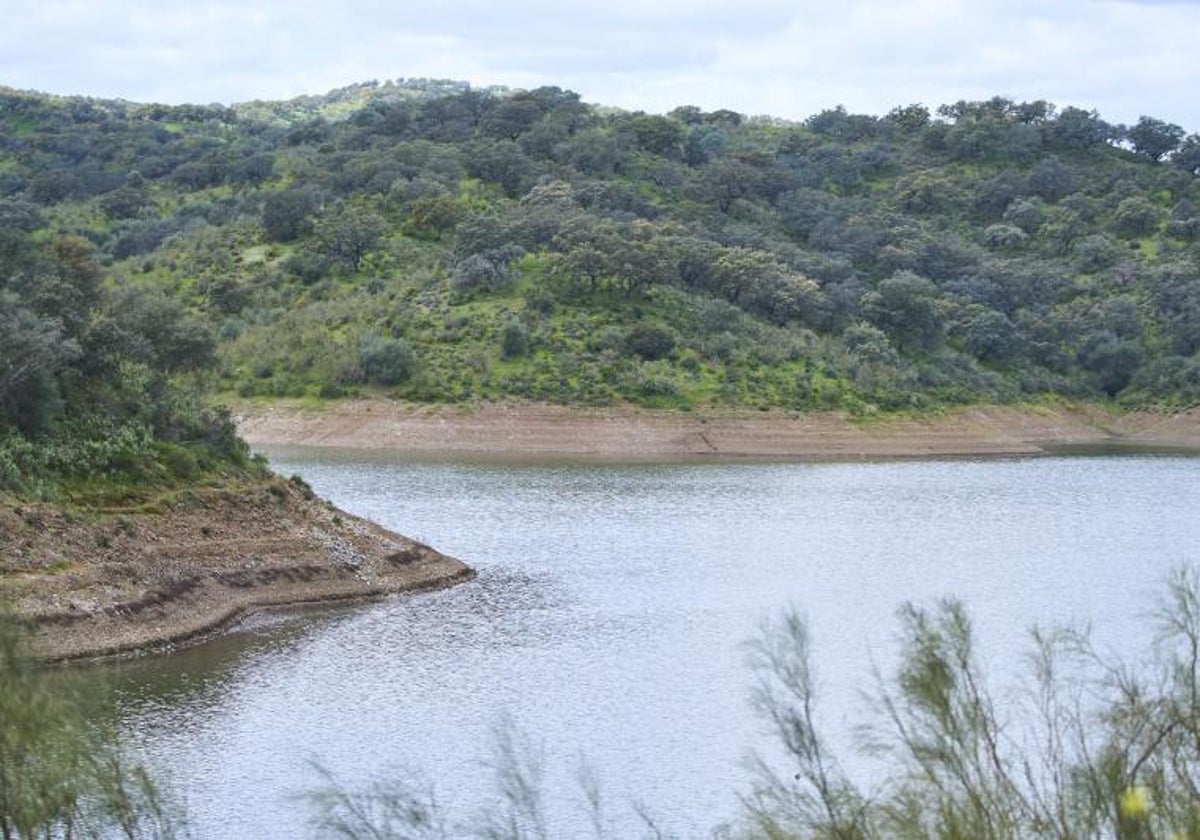 Detalle del embalse sevillano de la Minillas tras las lluvias caídas de la borrasca Mónica.