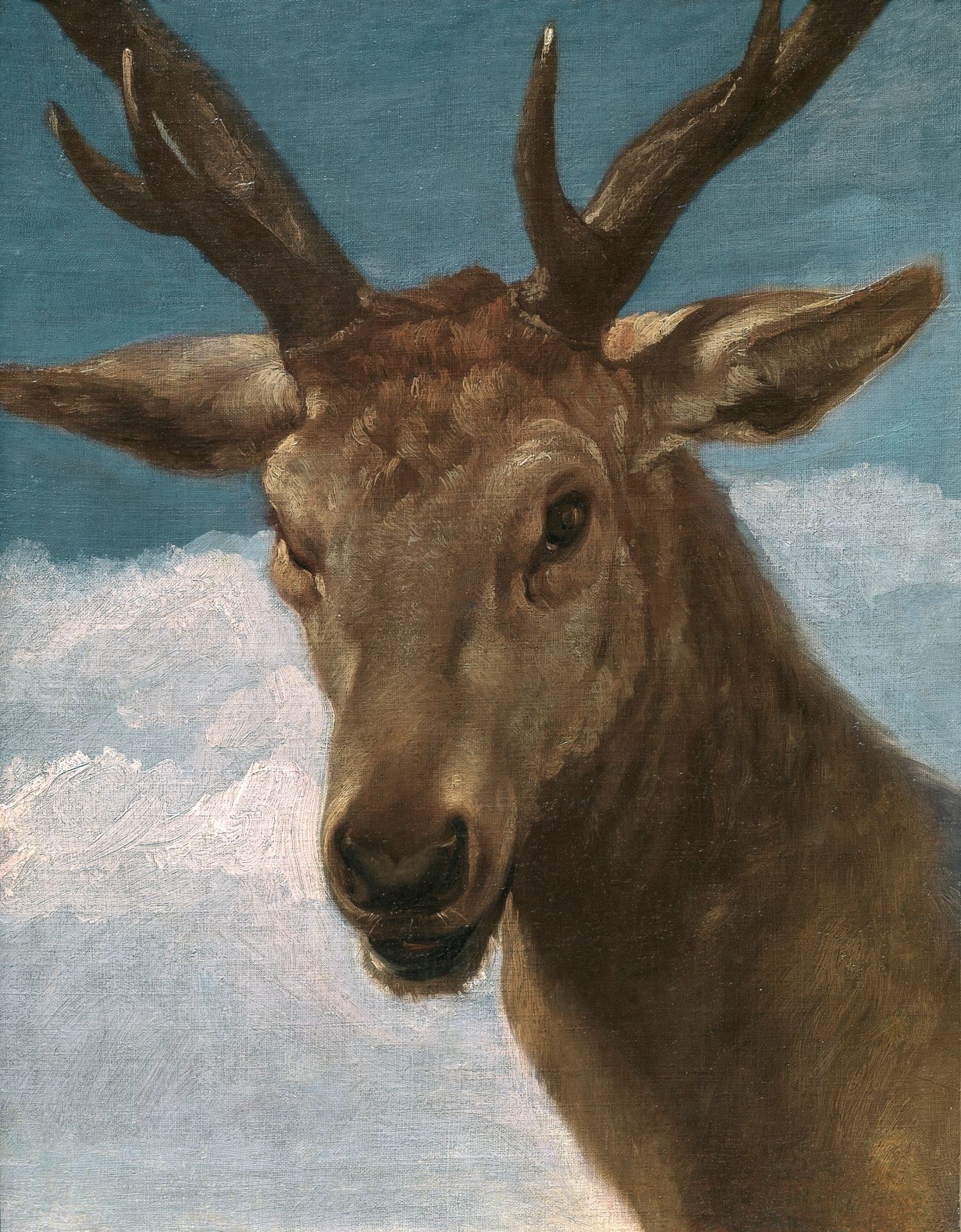 abeza de venado, de Velázquez. Estará del 13 de mayo al 9 de junio en el Museo Municipal de Bellas Artes, en Santa Cruz de Tenerife.