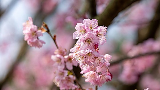 Los mejores productos para darle la bienvenida a la primavera
