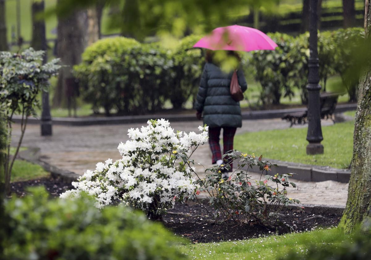 Primavera «intensa» para los alérgicos al polen, sobre todo en el centro y el suroeste