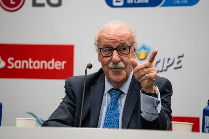 El ex entrenador de la Selección Española, Vicente del Bosque