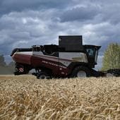 Bruselas quiere imponer un 50% más de aranceles al grano de Rusia y Bielorrusia