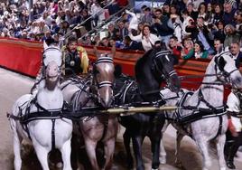 López Miras conduce la cuadriga, este viernes, en Lorca.