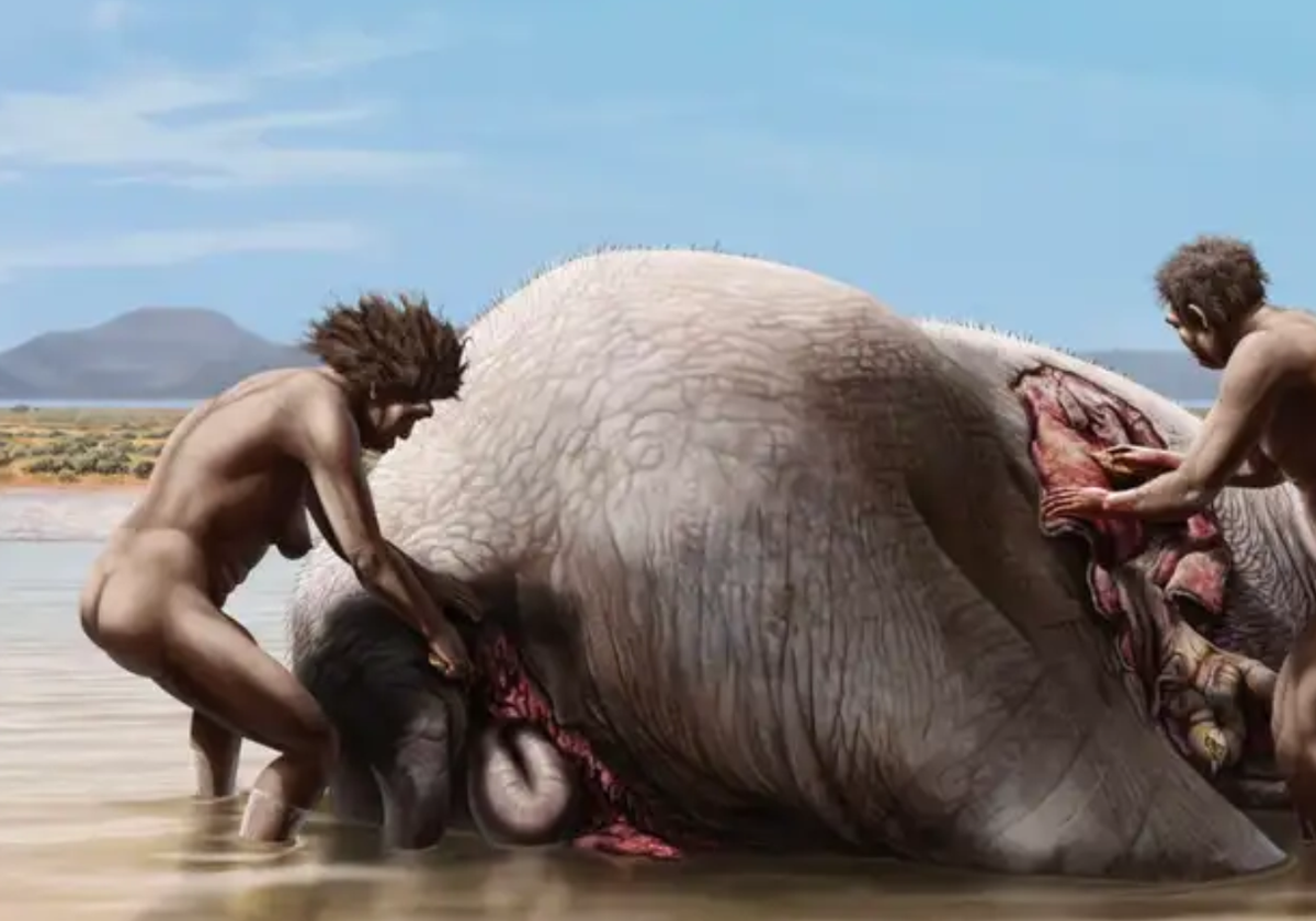 Recreación del festín de algunos de los primeros pobladores del continente europeo con la carne de un elefante Mammuthus meridionalis.