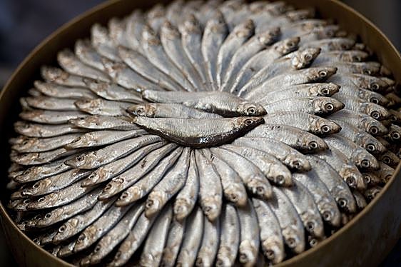 Sardinas, una de las especies sostenibles valoradas por sus propiedades nutrititvas.