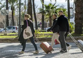 Turistas con maletas por Palma de Mallorca.