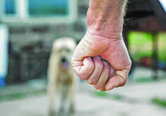 Un hombre amenaza a la mascota familiar.