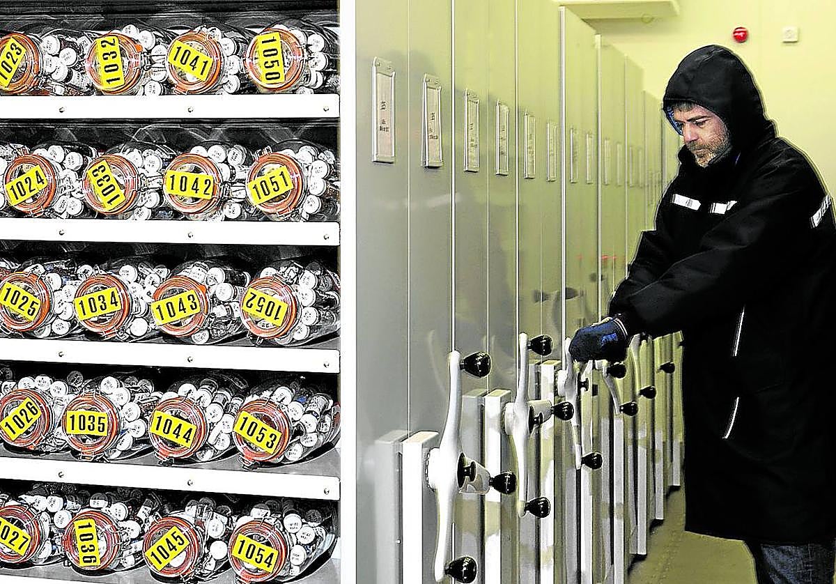 Las semillas se guardan en tarros de cristal a una temperatura constante de -20º C.