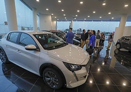 Vista interior de un concesionario.