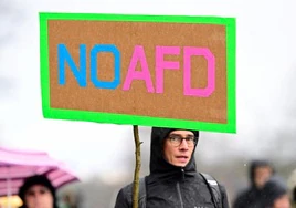 Manifestación contra AfD, el extremismo de derecha y por la protección de la democracia en Hamburgo.