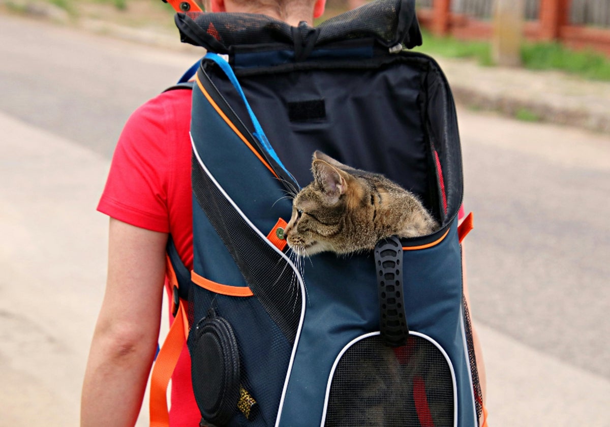 Lleva a tus amigos peludos a cualquier parte con estas mochilas