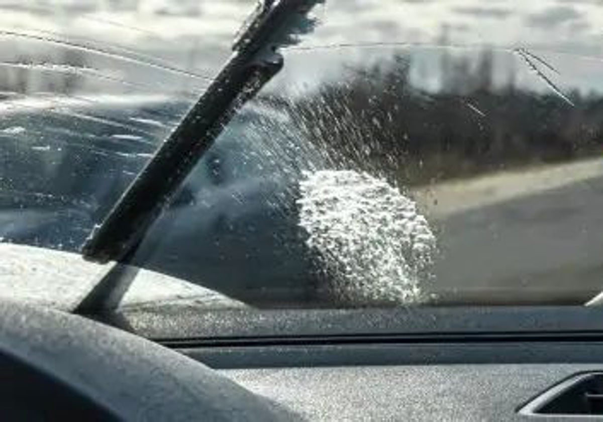 Los insectos se pegan a la parte frontal del coche