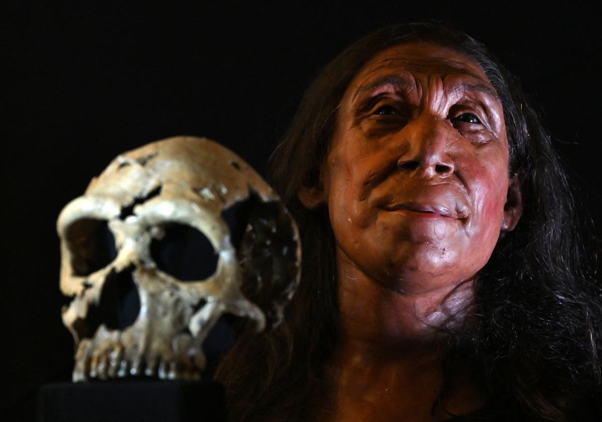 Shanidar Z, un rostro femenino con más de 75.000 años de historia | El ...