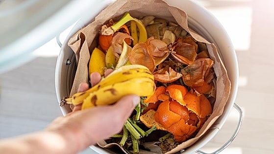 Tecnología contra el despilfarro alimentario: la IA mira dentro del cubo de basura