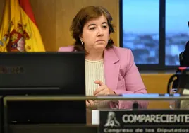 La presidenta interina del Consejo de Administración de la Corporación RTVE, Concepción Cascajosa