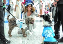 Una turista acaricia a los perros #que recorren el aeródromo turco.