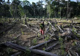 Un agricultor lleva una motosierra en una plantación de coca, después de talar árboles en el departamento de Guaviare, en la Amazonia colombiana.