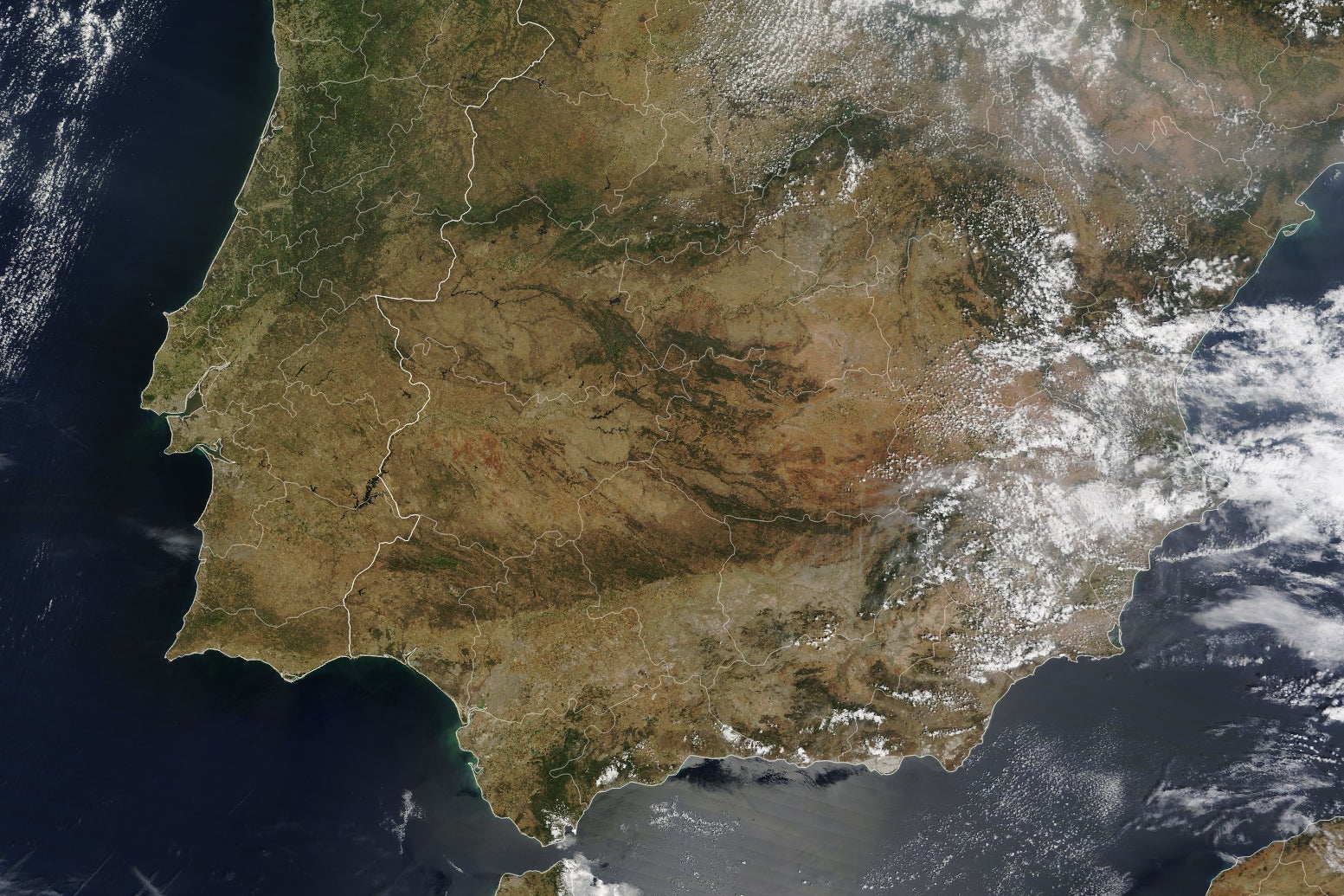 Imagen después - ¿Cuánto calienta el clima el precio de la cesta de la compra?