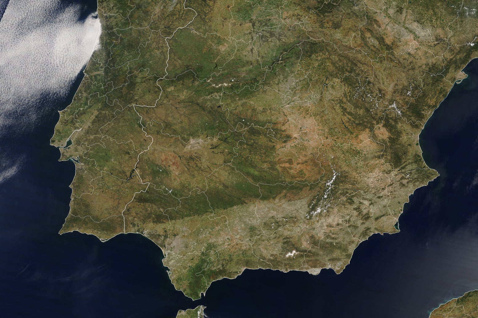 Imagen antes - ¿Cuánto calienta el clima el precio de la cesta de la compra?