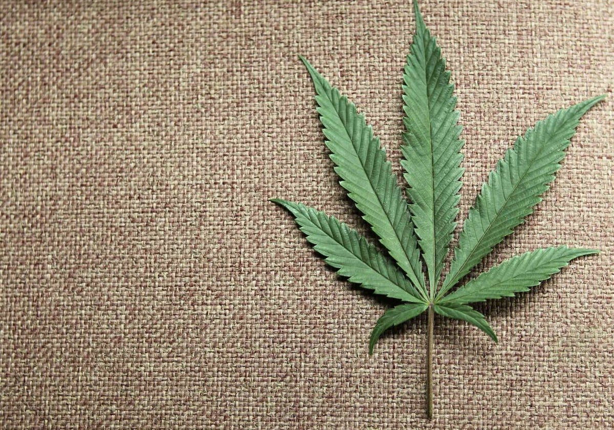 La marihuana aumenta once veces el riesgo de sufrir esquizofrenia en adolescentes