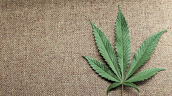 La marihuana aumenta once veces el riesgo de sufrir esquizofrenia en adolescentes