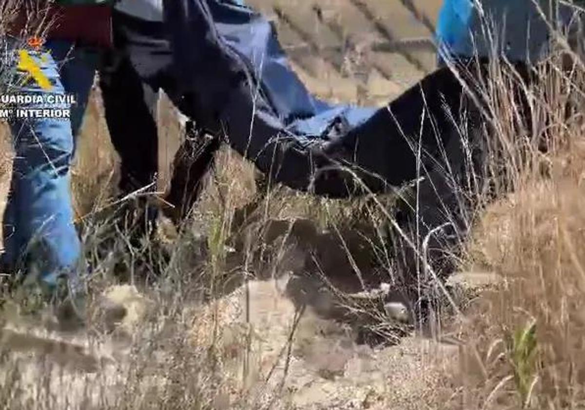 Imágenes de la investigación de la Guardia Civil en Xixona.