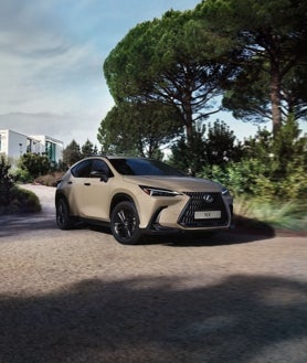 Imagen secundaria 2 - El nuevo NX Overtrail de Lexus 