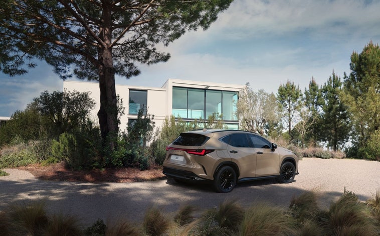 Imagen principal - El nuevo NX Overtrail de Lexus 