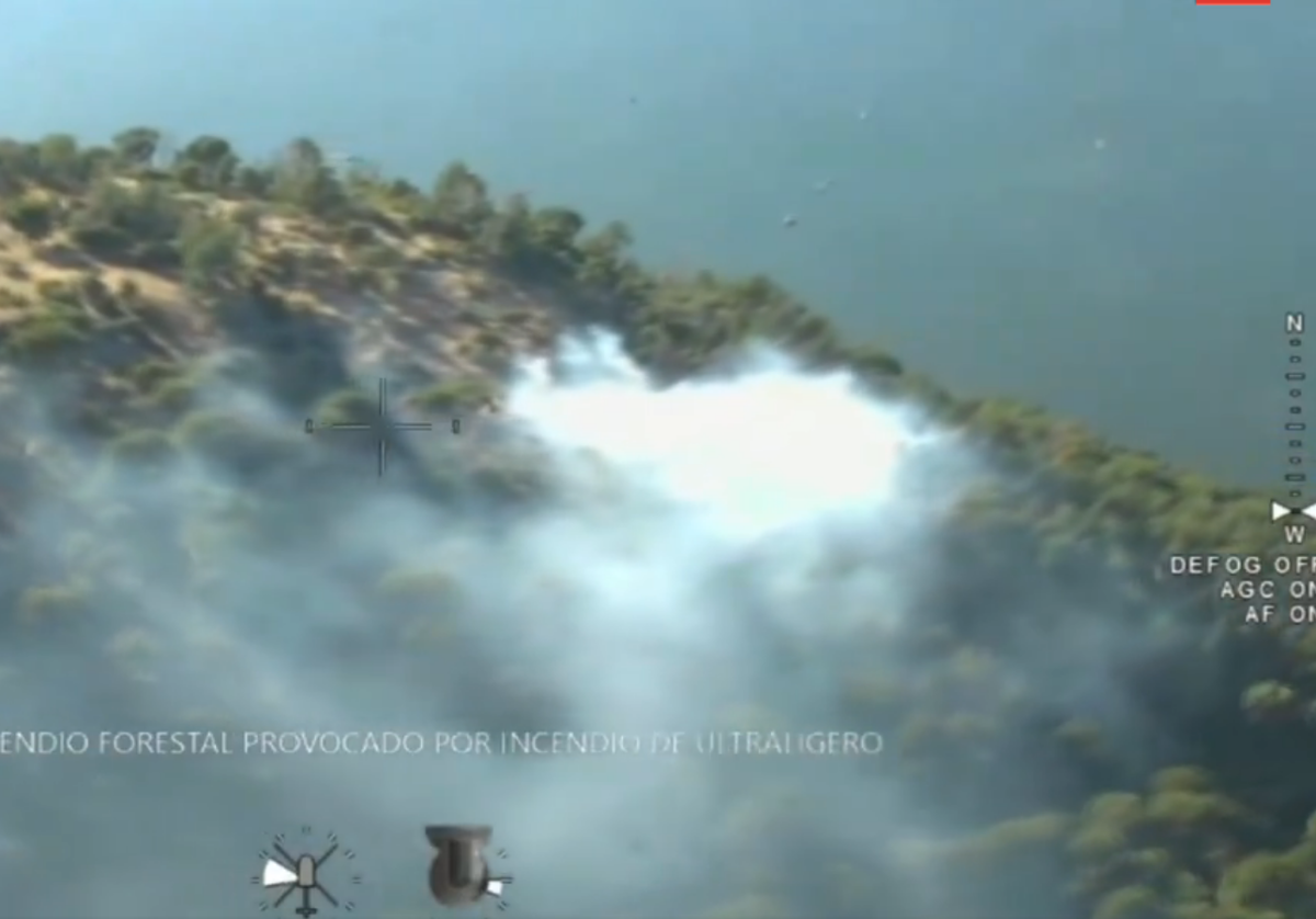Imágenes del incendio que ha provocado al avioneta al estrellarse.