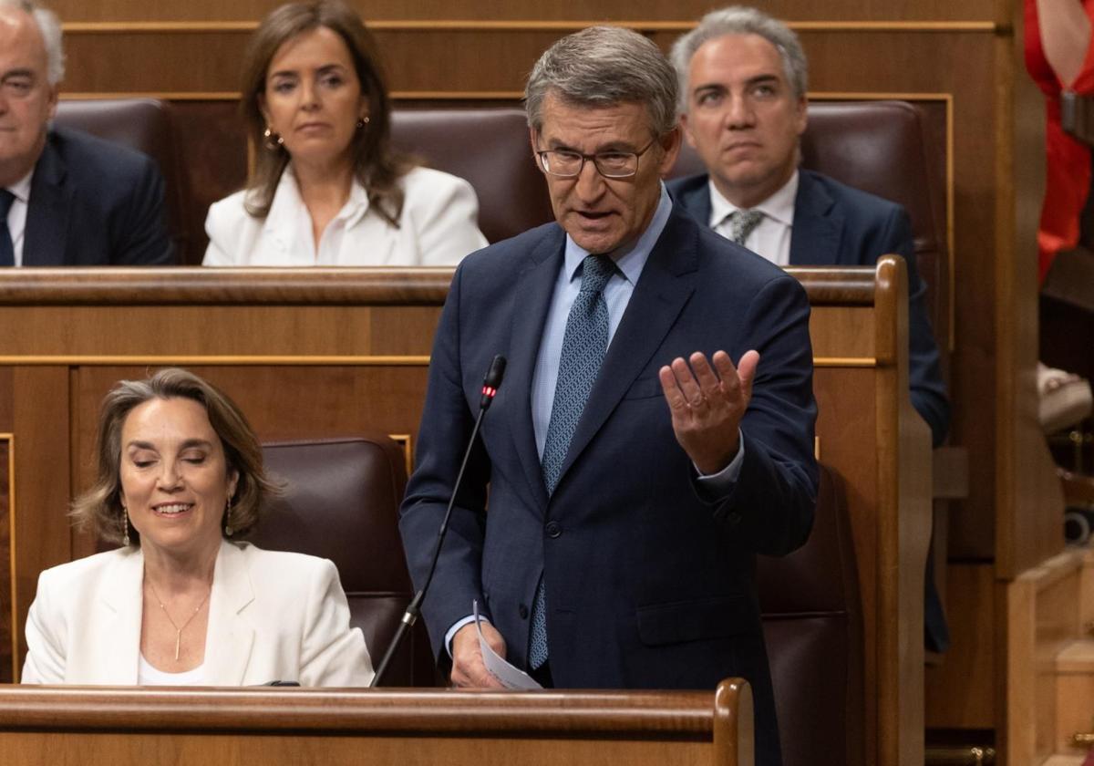 Alberto Núñez Feijóo interpela a Pedro Sánchez en la sesión de control al Gobierno en el Congreso.