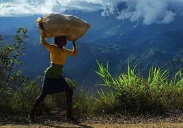 El trabajo infantil comprende el trabajo que los niños son demasiado jóvenes para realizar y/o el trabajo que, por su naturaleza o circunstancias, es probable que dañe su salud, seguridad o integridad moral.