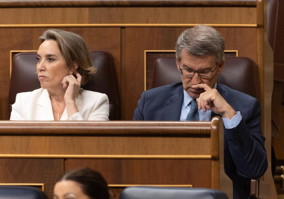 La secretaria general del PP, Cuca Gamarra, y el presidente del PP, Alberto Núñez Feijóo, durante la sesión de control en el Congreso