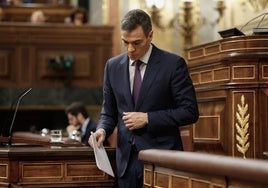 El presidente del Gobierno, Pedro Sánchez, en un Pleno del Congreso.