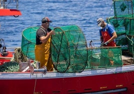 Pesca artesanal en aguas de Tenerife.