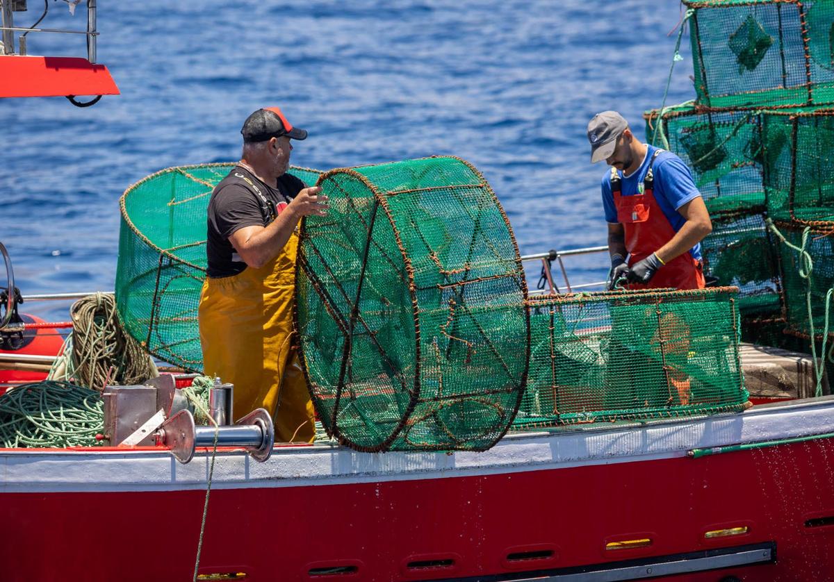 Pesca artesanal en aguas de Tenerife.