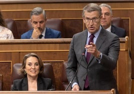 Alberto Núñez Feijóo, líder del PP, en la sesión de control de este miércoles, en el Congreso