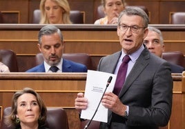 Alberto Núñez Feijóo pregunta a Pedro Sánchez en la sesión de control al Gobierno.