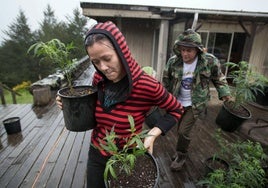 Estados Unidos borra los antecedentes por poseer marihuana y perdona dos millones de condenas