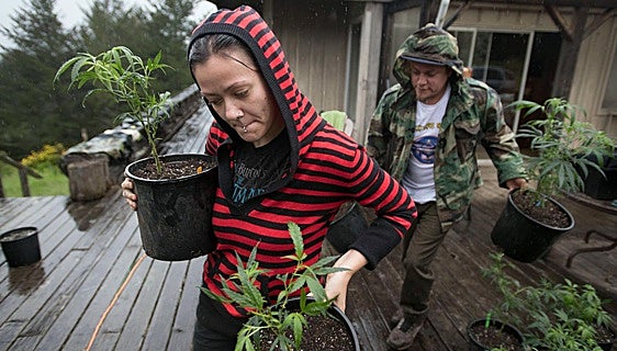 Estados Unidos borra los antecedentes por poseer marihuana y perdona dos millones de condenas
