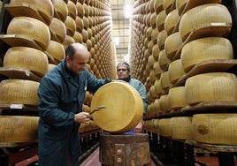 Trabajadores comprueban un queso parmesano en Italia.