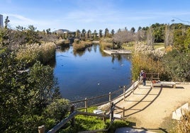 Parque inundable La Marjal, en Alicante, una infraestructura hídrica pionera que proteje a la ciudad de las lluvias torrenciales.