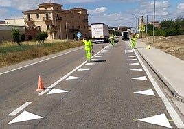 'Dientes de dragón' en Nava de Roa.