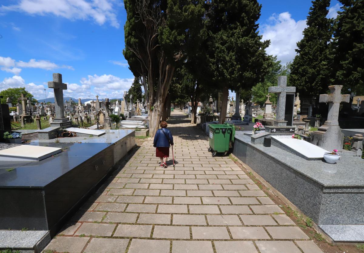 Panteones, nichos y muros del cementerio viejo de Miranda de Ebro.