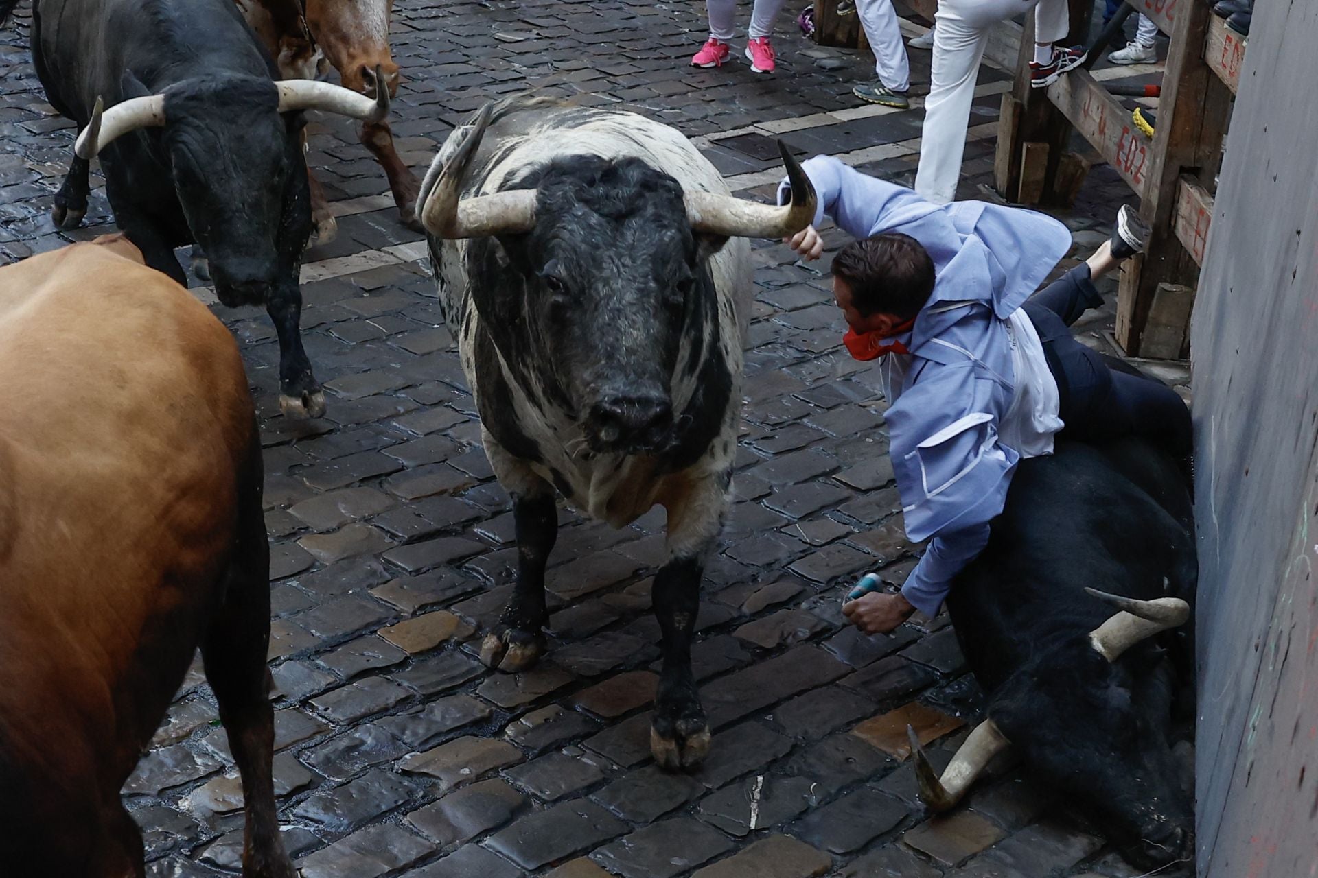 Un mozo cae al paso de los toros durante el segundo encierro de los Sanfermines.