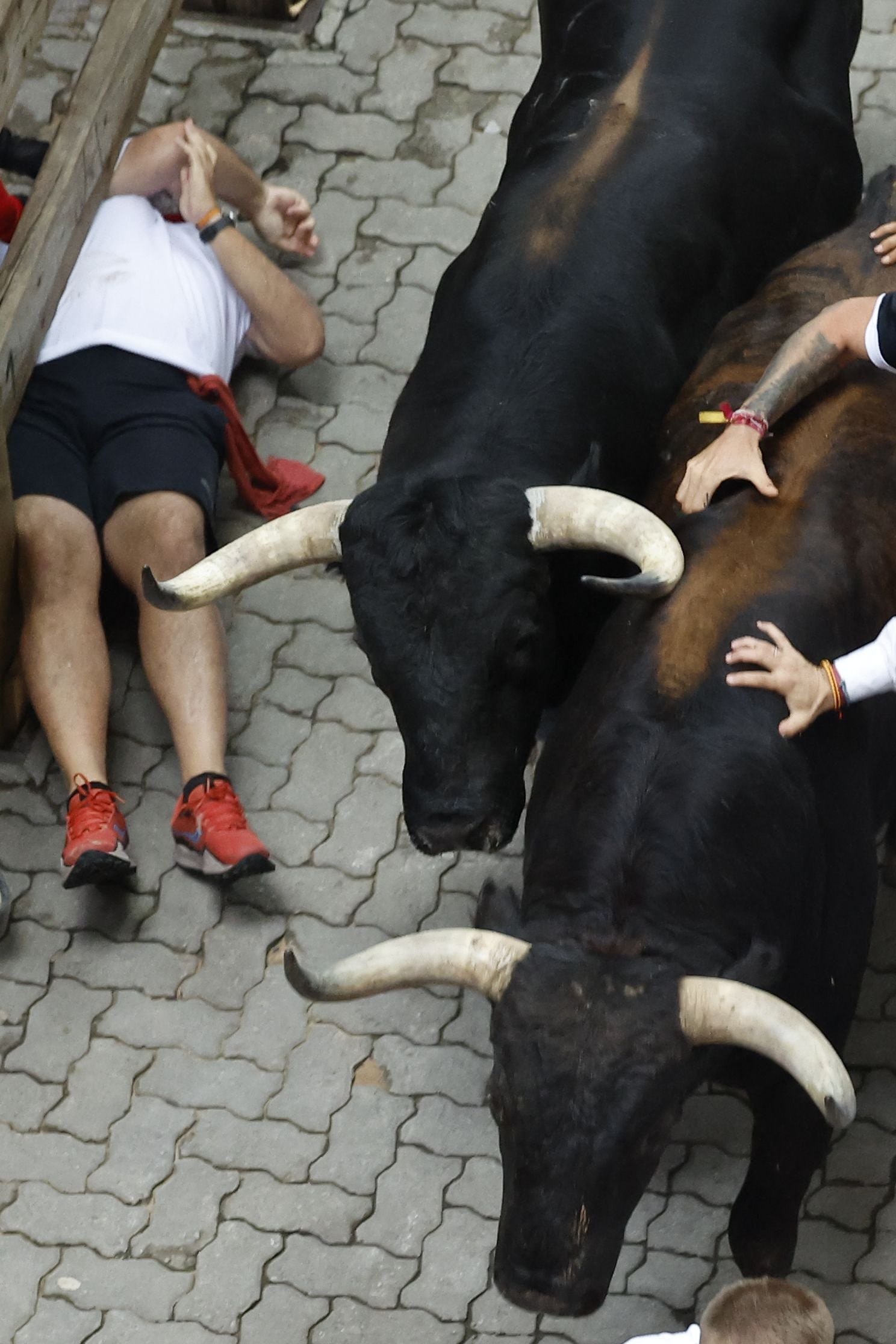 Al menos en tres ocasiones muy claras los toros han arrollado a varios corredores en la zona vallada de Telefónica y en la bajada del callejón, pero se los han apartado sin buscar hacer más daño.